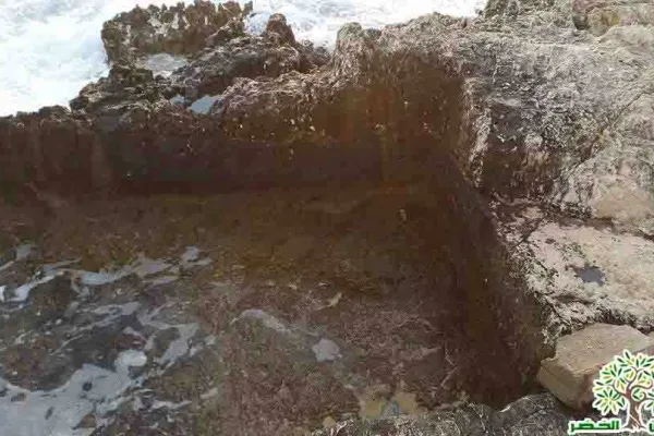 Adloun Beach: Rock-Cut Salt Pans and Basins, and a Haven for Sea Turtles gallery