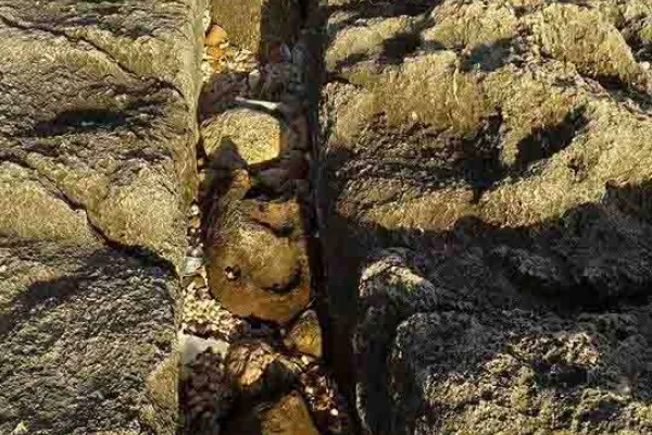 Adloun Beach: Rock-Cut Salt Pans and Basins, and a Haven for Sea Turtles gallery
