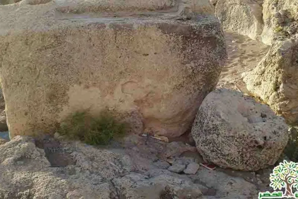 Adloun Beach: Rock-Cut Salt Pans and Basins, and a Haven for Sea Turtles gallery