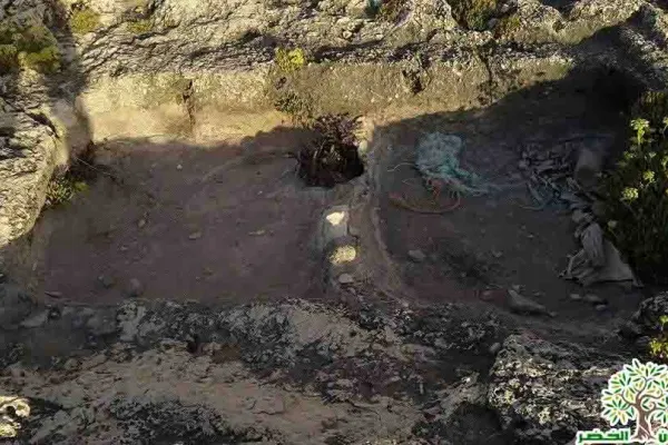 Adloun Beach: Rock-Cut Salt Pans and Basins, and a Haven for Sea Turtles gallery