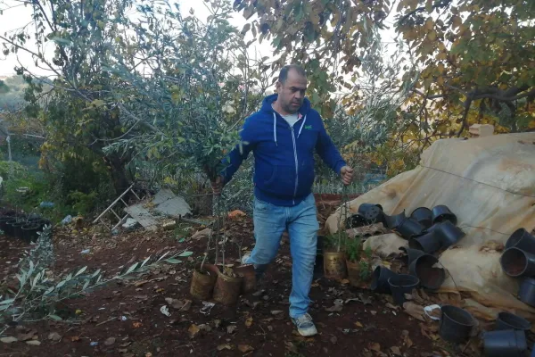 Farmers Support and Olive Groves Recovery Project in Border Villages of Southern Lebanon gallery