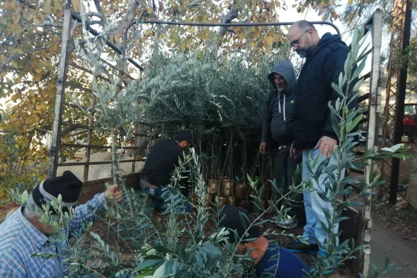 Farmers Support and Olive Groves Recovery Project in Border Villages of Southern Lebanon gallery