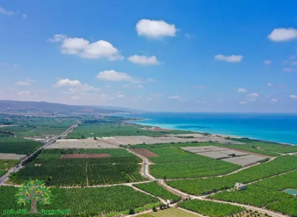 Southern Coast Protection