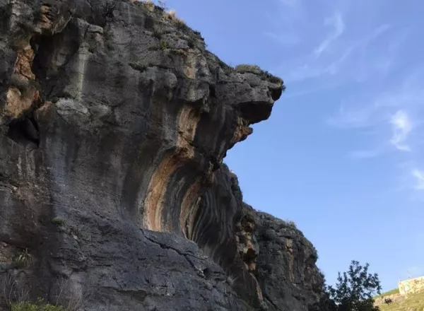 Mountains and rocky habitats