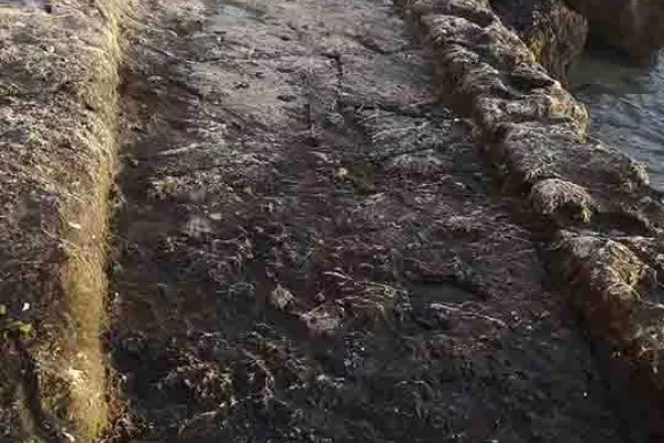 Adloun Coastal Reserve Proposal gallery