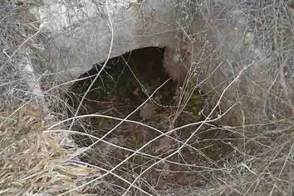 Adloun Coastal Reserve Proposal gallery