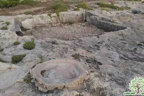 Adloun Coastal Reserve Proposal gallery