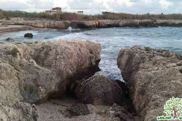 Adloun Coastal Reserve Proposal gallery