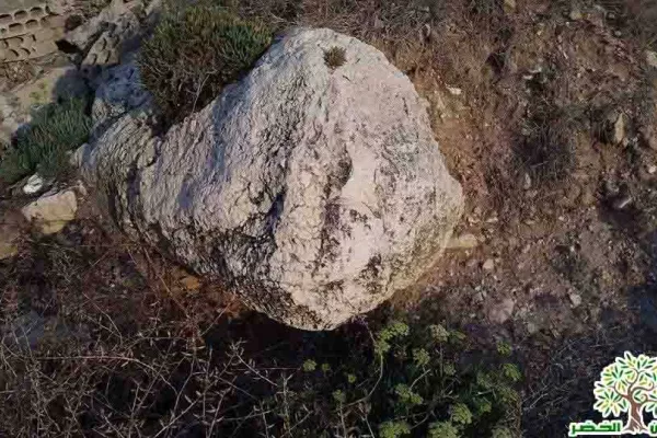 Adloun Coastal Reserve Proposal gallery