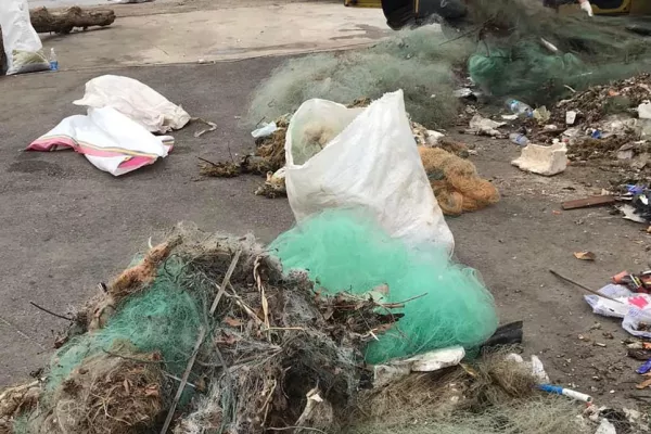 Cleaning Campaign at Tyre Port within the "Eco-Fisherman" Project gallery