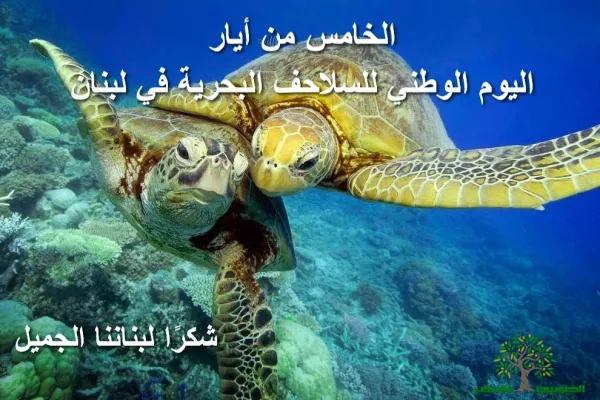 Official Approval gallery