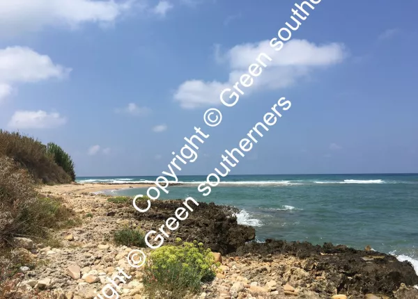 The Environmental Fisherman Project