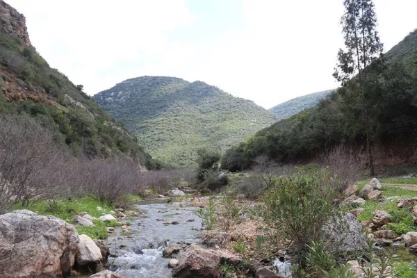 Zebqine Valley Reserve Proposal gallery