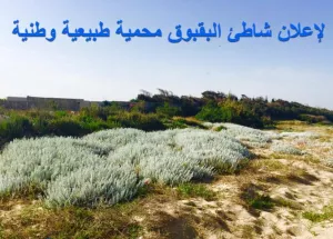 Abbassieh Beach (Baqbouq) Reserve Proposal