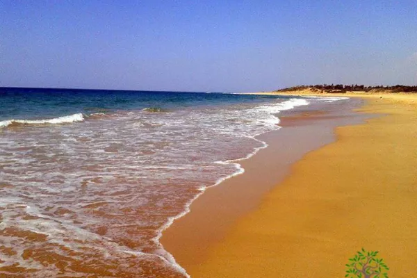 Abbassieh Beach (Baqbouq) Reserve Proposal gallery