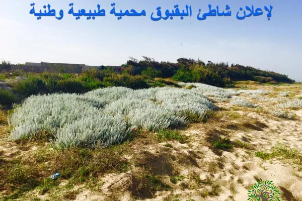 Abbassieh Beach (Baqbouq) Reserve Proposal gallery