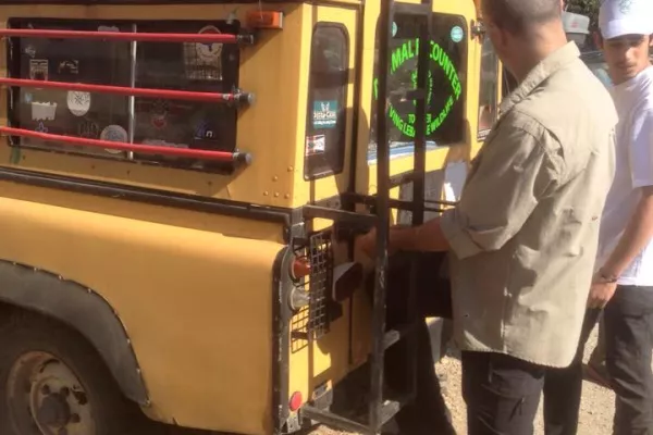 Judicial Precedent in the Case of Bella, the Striped Hyena gallery