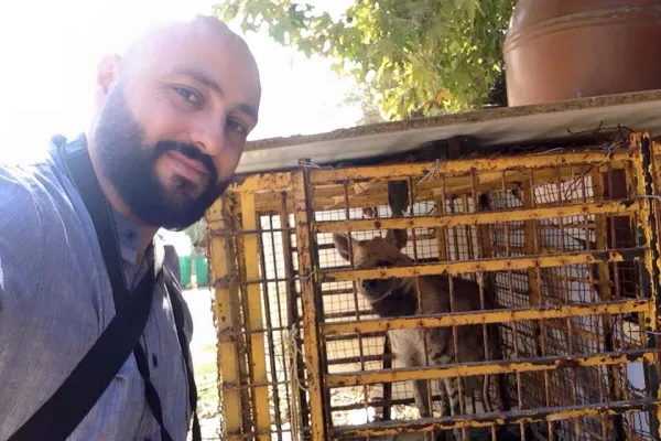 Judicial Precedent in the Case of Bella, the Striped Hyena gallery