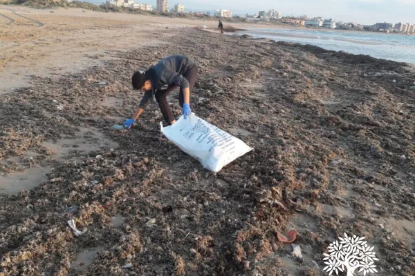 “Baqbouq Without Plastic” Project gallery