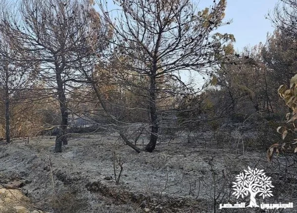 White Phosphorus Use Documentation Project