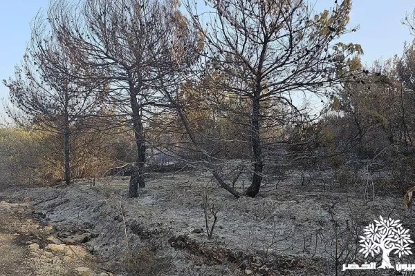 White Phosphorus Use Documentation Project gallery