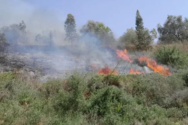 White Phosphorus Use Documentation Project gallery