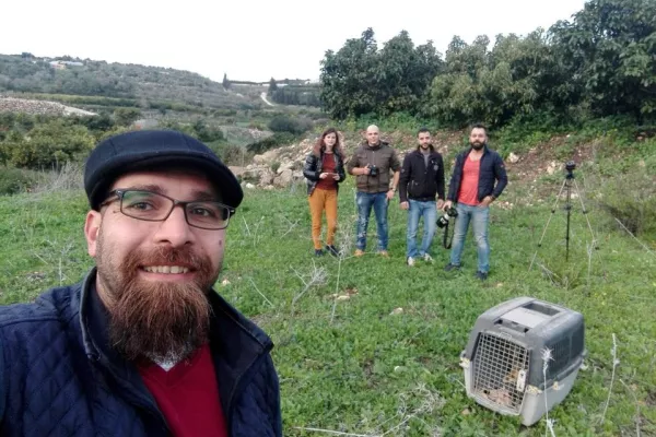 Release of Four Red Foxes into the Wild gallery