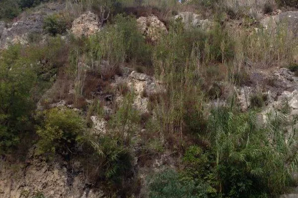 Introduction Walk to Protect Wadi Zibqin gallery