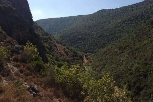 Introduction Walk to Protect Wadi Zibqin gallery
