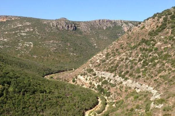 Introduction Walk to Protect Wadi Zibqin gallery