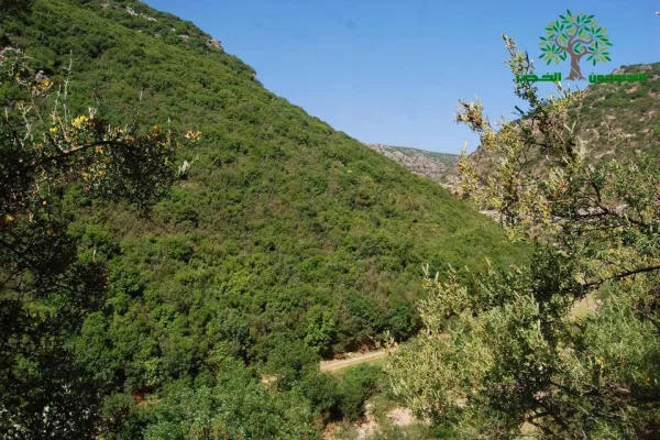 The Third Hike… Towards Declaring Zibqin Valley a National Nature Reserve gallery