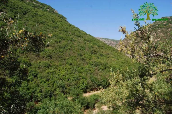 The Third Hike… Towards Declaring Zibqin Valley a National Nature Reserve gallery