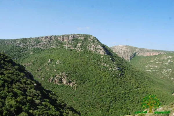 The Third Hike… Towards Declaring Zibqin Valley a National Nature Reserve gallery