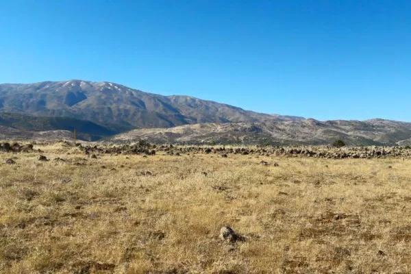 Rachaya Hike gallery